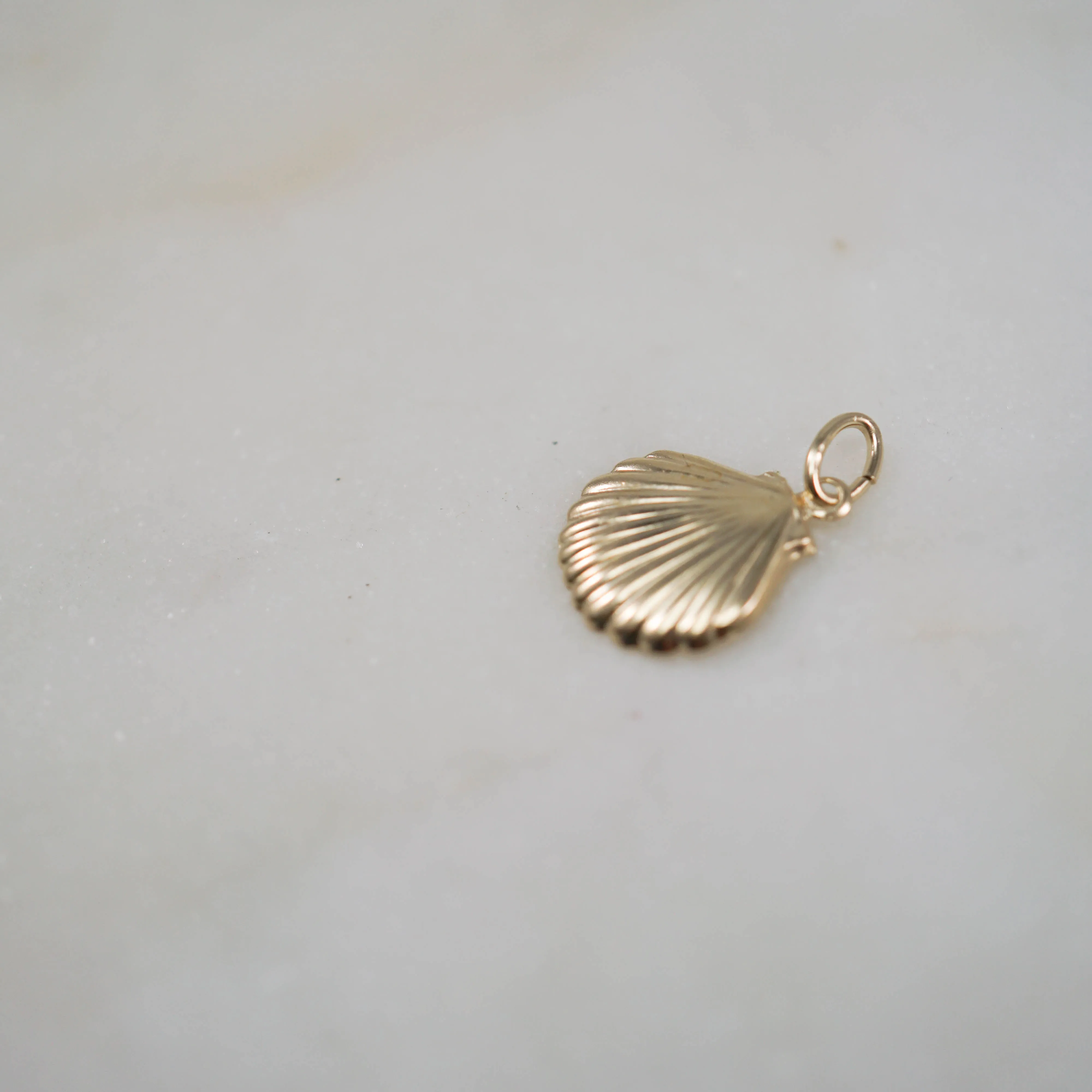 14kt Shell Charm