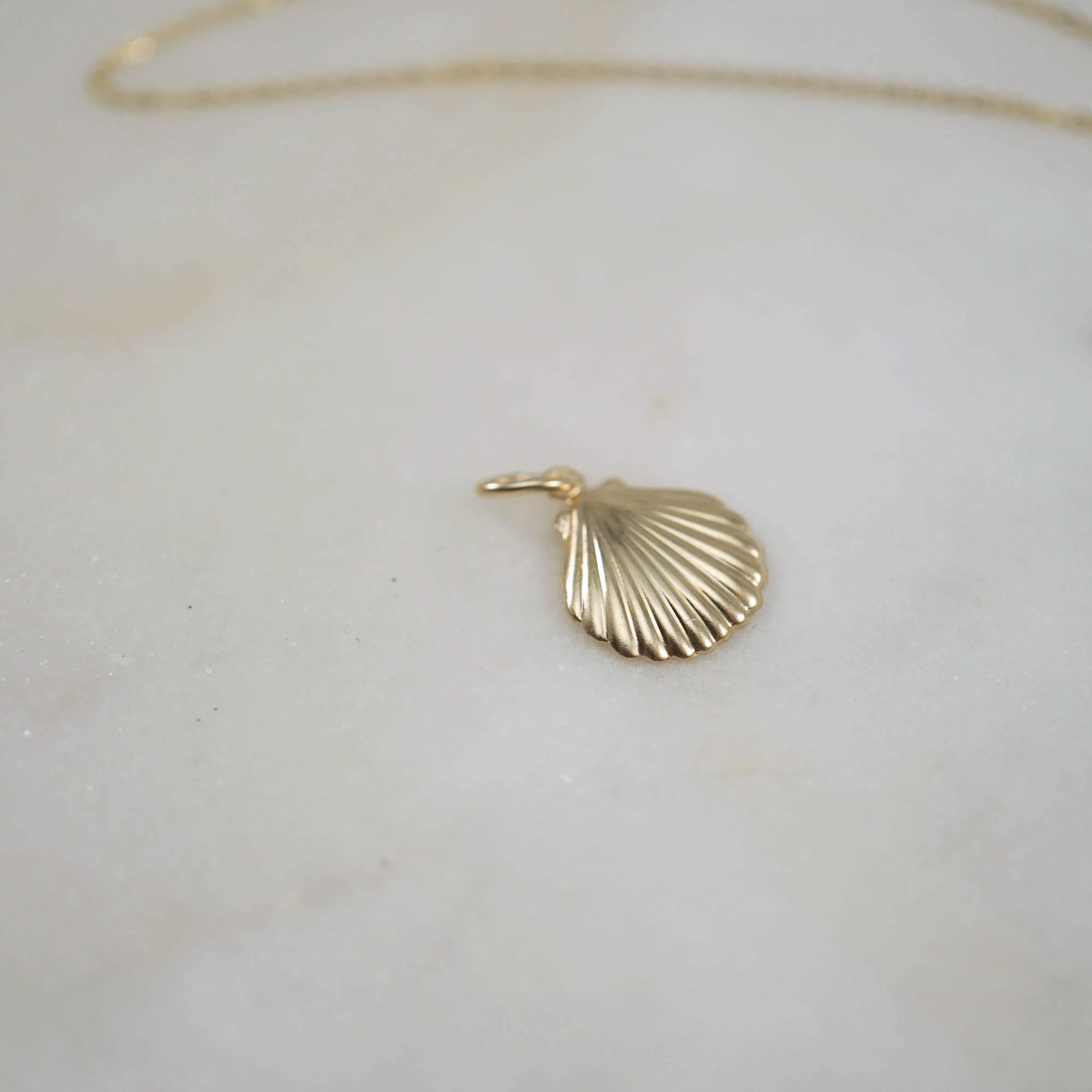 14kt Shell Charm