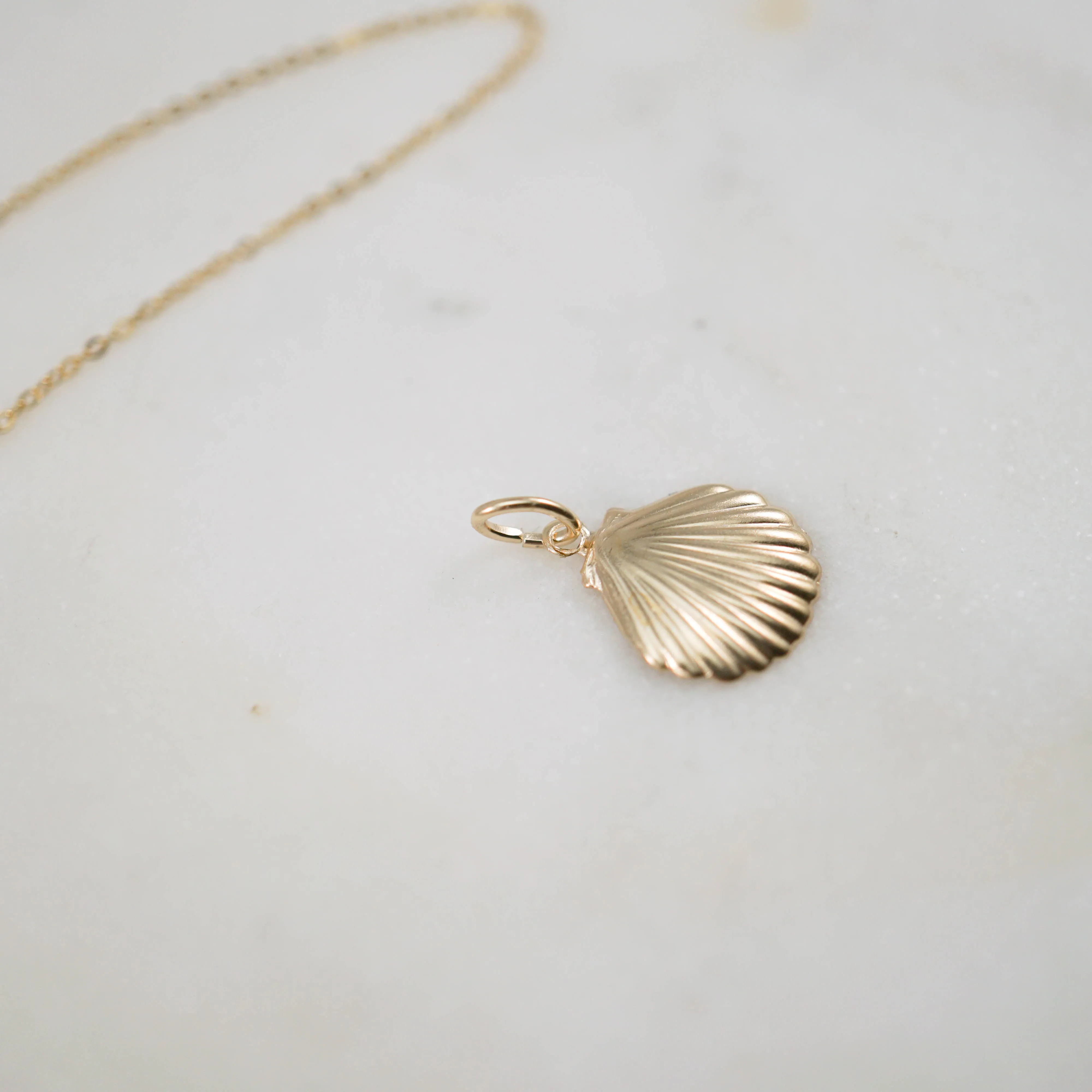 14kt Shell Charm