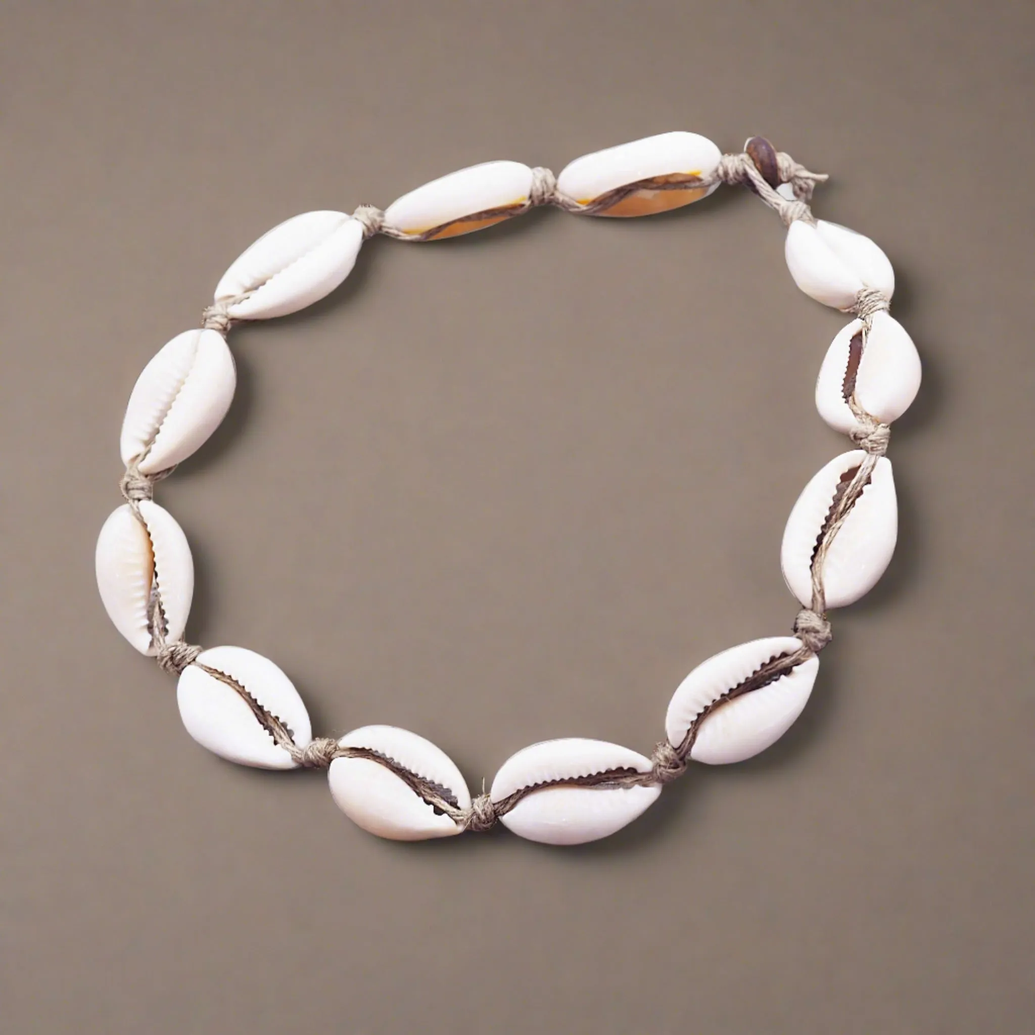 Cowrie Sea Shell Necklace