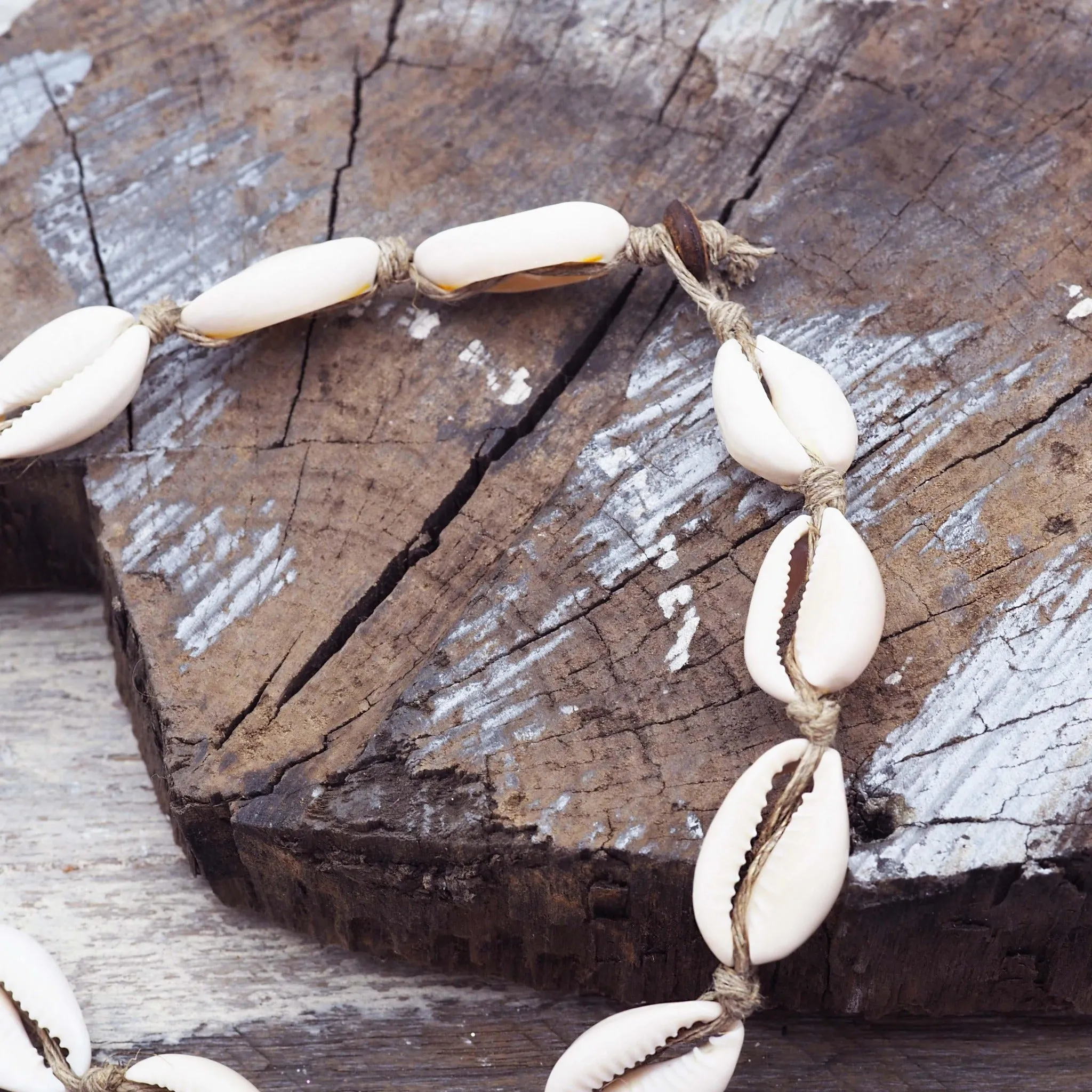 Cowrie Sea Shell Necklace