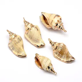 Pendants, Conch Shell, Natural, Golden, Electroplated, Focal, 26-52mm