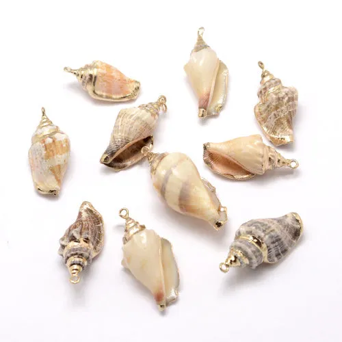 Pendants, Conch Shell, Natural, Golden, Electroplated, Focal, 26-52mm