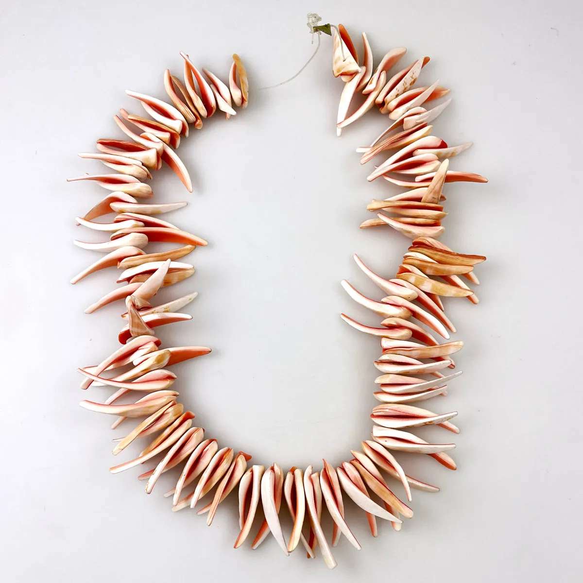 Red Lip Shell Spiky Beads