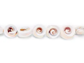 Shell Beads 16-20mm